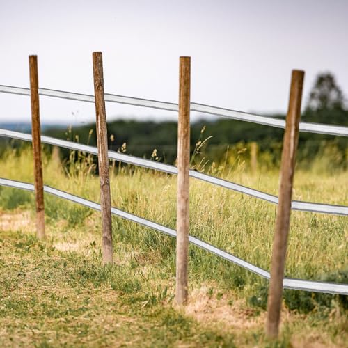 Yaocom 656 Ft/ 200 M Electric Fence Tape Horse Fence,3/4 Inch | Electric Fence Polytape, 4 x 0.18 mm Stainless Steel Strand, High Visibility, Safe Reliable Conductivity, for Livestock Horse - size: 3/4 Inch