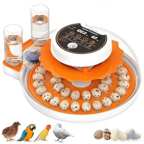 Quail Egg Incubator with Automatic Turner and Humidity Control | Quail Incubators for 40 Hatching Eggs,Outdoor Poultry Egg Incubator, Suitable for Parrot Canary and Other Bird - color: Orange