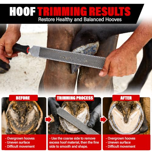 BuleVina 3Pcs Horseshoe File Handle 4.8'', Hoof Farrier Rasp for Horses, Ergonomic Plastic Non‑Slip Handle with 0.5'' Socket Dia for 0.5" x 0.27" File Universal Repair Horseshoe