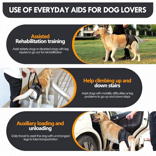 Dog Lift Harness |Harness for Large Dogs, Adjustable Hind Leg Support Sling for Elderly Injured Arthritic Disabled Dogs, Mobility & Rehabilitation Aid(S) - size: S