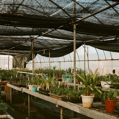 winemana 20x48 FT Black Shade Cloth, 70% UV Resistant Mesh Tarp with Reinforced Grommets, Breathable Sun Shade Net for Garden, Greenhouse, Patio Plants and Animal Coop Cover - size: 70%-20 FT x 48 FT