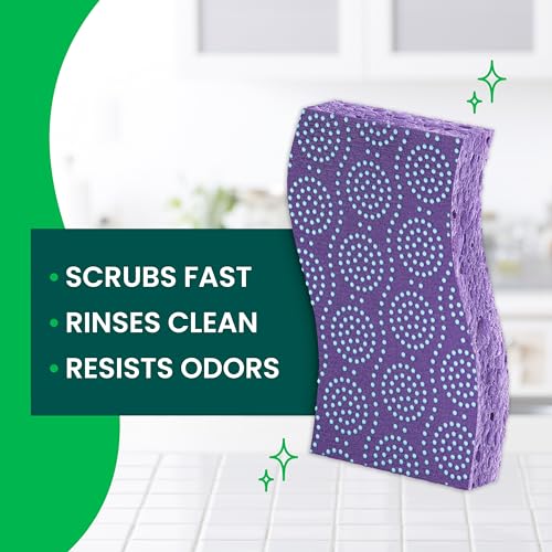 Scotch-Brite Odor Resist Non-Scratch Scrub Sponge, Dishwasher-Safe Kitchen Sponges that Resist Bacterial Odors, Multipurpose Dish Sponge for Gentle Cleaning, 24 Dish Sponges