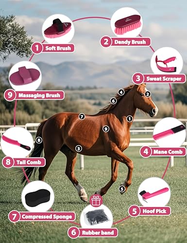 Shinewell Horse Grooming Kit, Complete Horse Brush Set, Equine Grooming Tools for Shedding & Daily Care Pink - color: Pink
