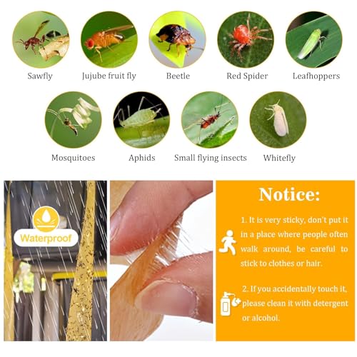 Outdoor Fly Trap Indoor Hanging 24pk, Sticky Fly Strips Tape Paper for Home | Flies Ribbon Rolls for Home Kitchen, Fruit & Bug Gnat Catchers for Inside, Killer for Winged Insect - size: 24 pack