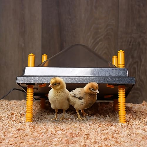 Rural365 Chick Heating Plate and Brooder Plate Cover - 10 Inch Brooder Heat Plate for Chicks with Adjustable Height