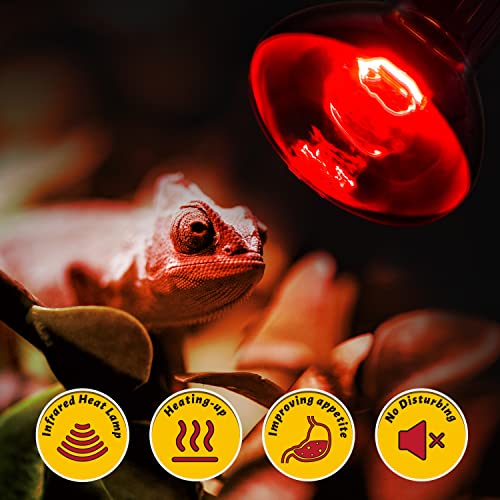 REPTI ZOO 2 Pack 100W Reptile Heat Lamp Bulbs,Upgraded Reptile Day and Night Basking Spot Bulb Combo Amphibian Infrared Heat Lamp Bulb/UVA Basking Spot Daylight Heating Light Bulb - style: Style 1
