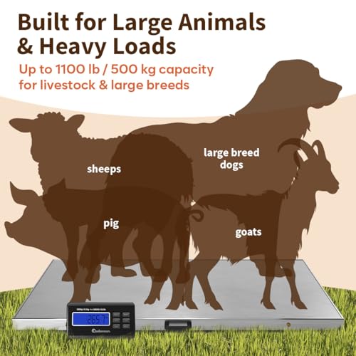 Adamson Livestock Scale 1100 lb / 500 kg – Heavy Duty Digital Dog Scales for Large Breed, for Sheep, Pigs, Goats – Tare, Hold & PCS – Battery or AC Powered (Batteries & Power Adapter Included)
