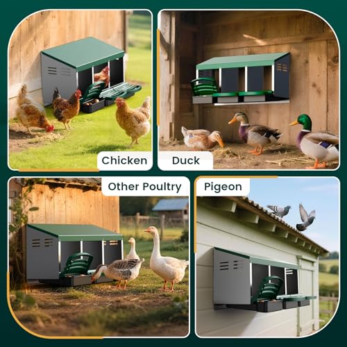 Chicken Nesting Boxes, Roll Away Laying Nest Box for Hens, 3 Compartments | Rollout design with removable drawer for easy egg collection and cleaning, built with durable galvanized steel, Green - color: Green