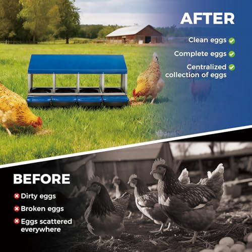 Garvee 4-Hole Roll Away Egg Collection Chicken Nesting Box | Galvanized Steel Nest Box for Laying Eggs - color: Blue, size: 4 holes