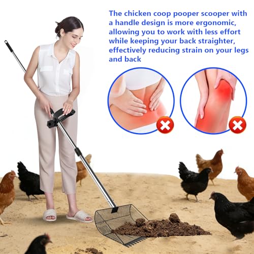 13-inch Sand-Grade Chicken Poop Scooper, Large Adjustable Metal Poultry House Manure Scoop, Chicken Poop Scooper Suitable for Cleaning Chicken Coops, Stables, Gardens, and Small Farms