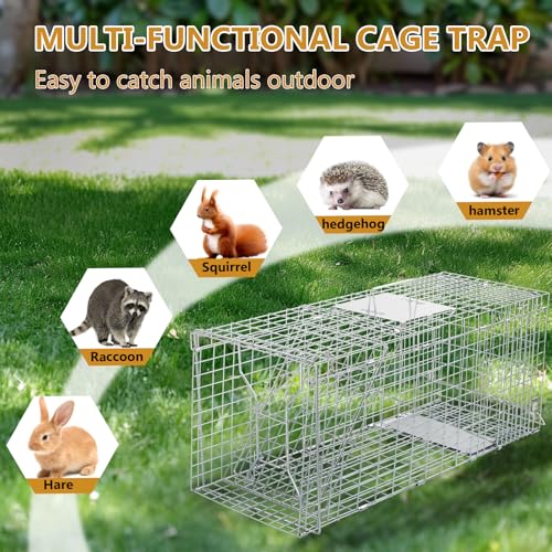 Outvita Live Animal Cage Trap, 32" Heavy Duty Folding Steel Cage | Catch Release Humane Rodent Cage for Rabbits Stray Cat Squirrel Raccoon Mole Gopher Chicken Opossum Skunk & Chipmunks