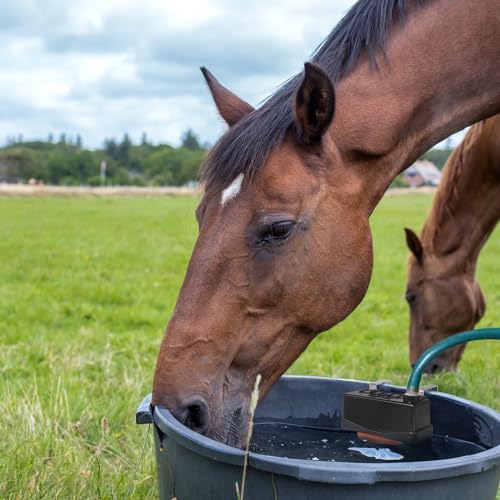Water Trough Float Valve for Stock Tank,Automatic Livestock Waterer Level | Stock Water Tank Float Valve for Livestock Pond Farm Cattle Goat Horse Swimming Pool,Autofill Livestock Waterer Level Control - style: Stock Tank Float Valve-1PCS