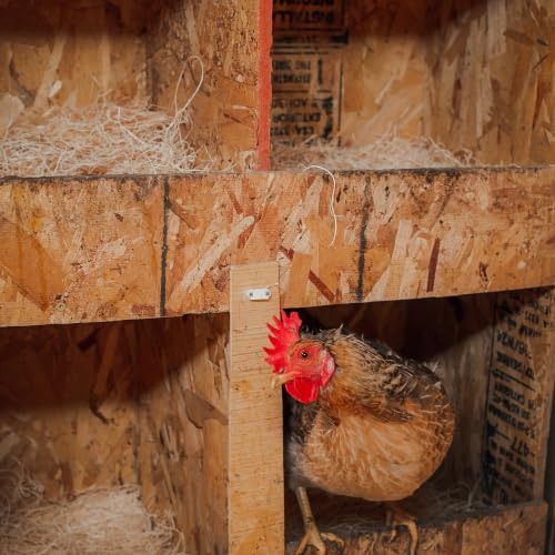 Eaton Pet and Pasture Nesting Pads for Laying Hens, 13 x 13 in, 10-Pack | Poultry Coop Nesting Box Pads for Egg-Laying Hens