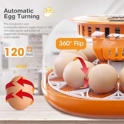 12 Egg Incubator with Automatic Egg Turning and Temperature Control, Automatic Water Adding, LED Egg Candler, Incubators for Hatching Eggs, Chickens, Ducks, Quail - color: Orange