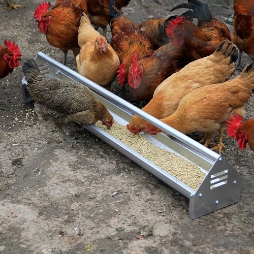 KOL Portable 45" Long Galvanized Steel Livestock Feeding Trough, Heavy-Duty Large Capacity Feeder, Easy to Clean, for Calves, Sheep, Horses, Goats