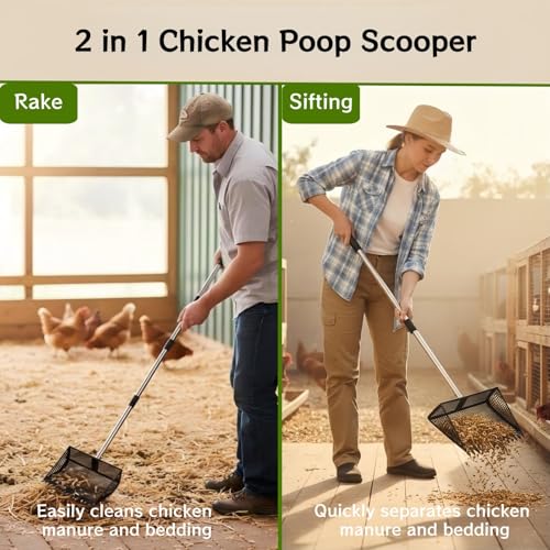 12 Inch Chicken Poop Scooper & Rake 2-in-1,5 Adjustable Levels 24.4" to 77.2" Chicken Coop Scooper for Cleaning,Shovel Metal Head, Chicken Coop Rake and Scoop with Handle,Stainless Steel