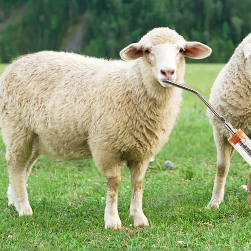 2Pcs Reusable Goat Drench Syringe with 2 Detachable Metal Drench Nozzles | Adjustable Dosage Drench Gun for Sheep, Pig, Cattle, Dog, Cat, Goat Feeding,Livestock Supplies 10ml and 20ml