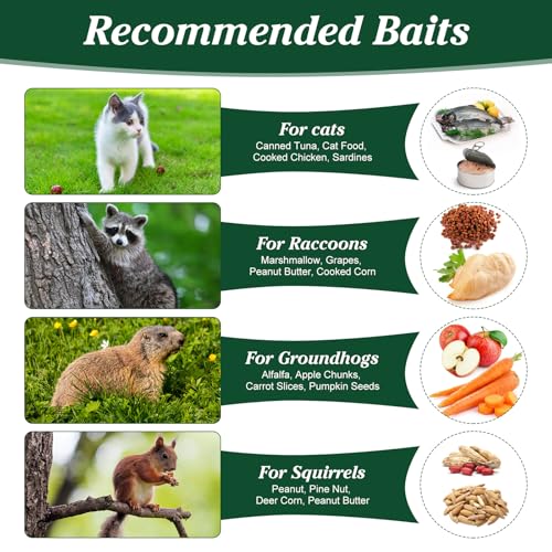 Humane Animal Trap, 23.3"x7.2"x7.7" Foldable Live Cage Traps | for Kitten Rabbits Racoons Beavers Groundhogs and Other Live Animals, Easy to Catch and Release, Work for Indoor Outdoor - size: 23.31"x7.21"x7.71"
