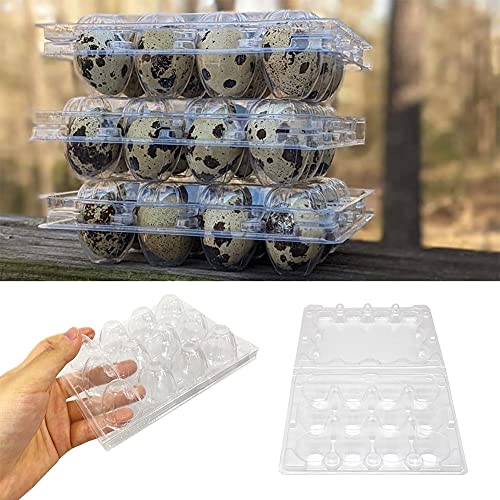 50 Pcs Quail Egg Cartons,12 Grids Small Egg Storage Holders,Quail Eggs Bulk Carton Trays for Small Eggs,Quail,Pheasant,Pigeon Eggs