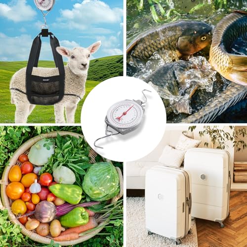 Mechanical Hanging Scales 110lbs/50kg with Calf Sling | Weighing Sling for Calves Lambs Goats Newborn Livestock Dogs, High Accuracy Large Display Spring Dial Weight Scale - color: B2:Gray Hanging Scale 110lbs/50kg&Calf Sling