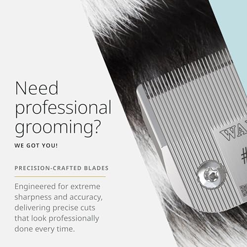 Wahl Pro Animal Prime Series Blade, 0.25 mm, #40 | Solid High-Carbon Steel, Quick-Change System for Dog, Cat, and Horse Grooming - size: #40