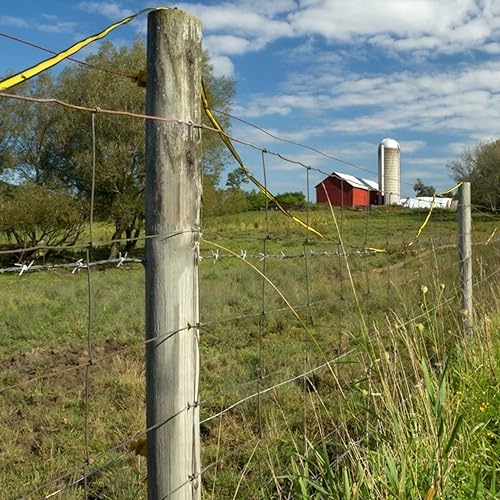 Electric Fence Energizer Plus 2 Mile/ 8 Acres Plug,Electric Fence Charger PE2，Livestock Fence Chargers for Containing Pets and Keeping Out Small Nuisance Animals 0.10 Joule - color: 0.10 Joule