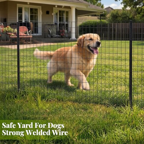 Gisafai 48in x 100ft Welded Wire Fence, 2 Inch x 4 Inch 16 GA, Galvanized Metal Garden Fence Roll Wire Mesh Netting for Goat Deer Cattle Animal Enclosures and Yard Vegetable Plant Protection,Black - color: Black, size: 48in X 100 ft