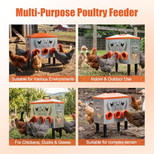 TGEYD 30 lb Metal Chicken Feeder, No-Waste Galvanized Feeder with 6 Feeding Ports, Adjustable Legs, Feed Level Window & Rainproof Roof Lid for Chickens, Ducks & Geese - size: 30LB