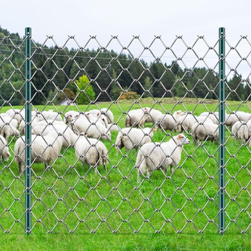 VEVOR 4 Feet U-Channel Metal Fence Post, 10 Pack with 20 Zip Ties & 20 Clips, Sturdy Steel Stakes for Garden Yard, Lawn, Farms and Outdoor Wire Fencing, Green - size: 4 Feet 10 Pack