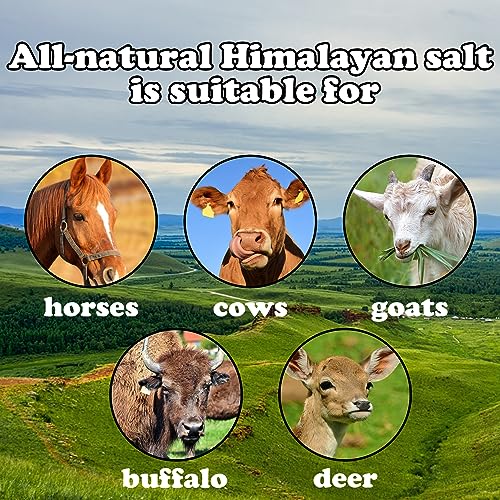 Animal Salt Lick Block on Rope for Horses,Deer,Cattle,Sheep Livestock Natural Organic Mineral Intake Long Lasting Himalayan Deer Salt Block(1 Pcs,2.4-3.3 lbs)