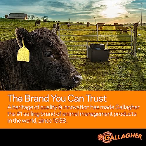 Gallagher MBS1800i Multi Power Electric Fence Charger | 18.0 Joule 12v Battery, Solar, or 110v AC Energizer with External Control and Display Panel | Powers Up to 200 Miles / 1200 Acres