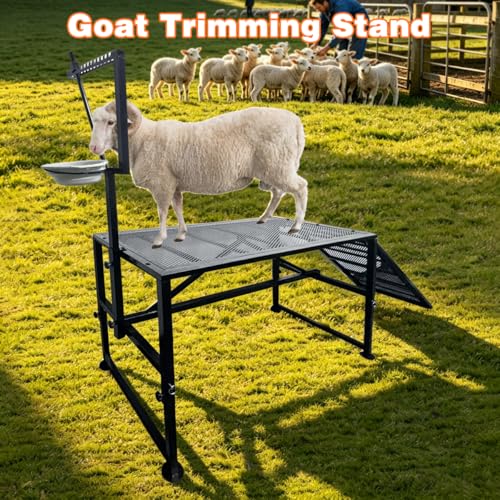 Adjustable Metal Goat Milking Stand，600LBS with Ramp & Feed Bin | Heavy duty livestock organizer suitable for goats, sheep and lambs for daily milking, grooming and hoof trimming on farms.