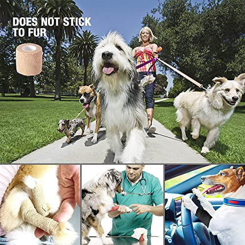 Self Adhesive Bandage wrap, Elastic Bandage wrap 2 inch, Wrap for Injury | Self adhering, Self adherent cohesive wrap, adhesive wrap bandage rolls,For Sports, First Aid Tape, 5 Yards, 6 Pack - size: 2 Inch