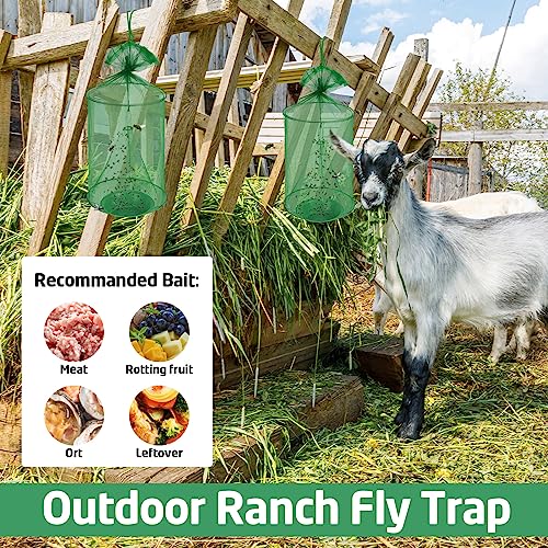 Qualirey 12 Pcs Ranch Fly Trap Outdoors Stable Reusable Horse Outdoor Hanging Pest Fly Trap Catcher Cage with Pots Flay for Farm Orchard Restaurants