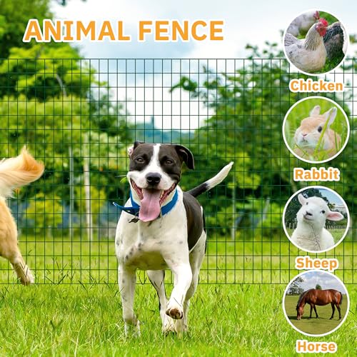 Green Metal Garden Fence,72inch(H) x 50ft(L),2 inch x 3 inch,14GA Coated (16GA Bare) 2/3/4/5/6 Ft Tall Chicken Wire PVC Coated Welded Wire Mesh Roll for Dogs Border Yard Vegetable Plant Poultry - color: Green, size: 14GA 2x3 72"x50'
