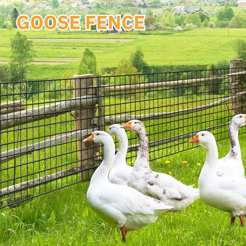 Black Metal Garden Fence, 24inch(H) x 100ft(L), 2 inch x 3 inch,14GA 2/3/4/5/6 Ft Tall Chicken Wire PVC Coated Welded Wire Mesh Roll for Dogs Border Yard Vegetable Plant Protection Poultry Netting - color: Black, size: 14GA 2x3 24"x100'