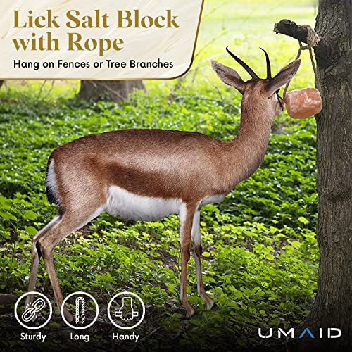 UMAID Himalayan Salt Lick 6 lbs On Rope for Horse, Deer, Goat, and Livestock Animals - Himalayan Salt Block 1 Pack - size: 6 Pound (Pack of 1)