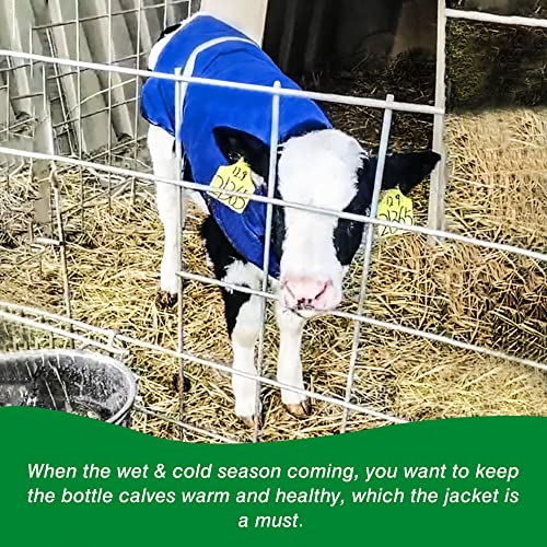 Calf Blankets Jacket for Calves - Keep Calves Warm, Soft Calf Cow Goat Dog Warm Clothes Comfortable Freezing Resistance Cold Proof Oxford Cloth Waterproof - color: Blue