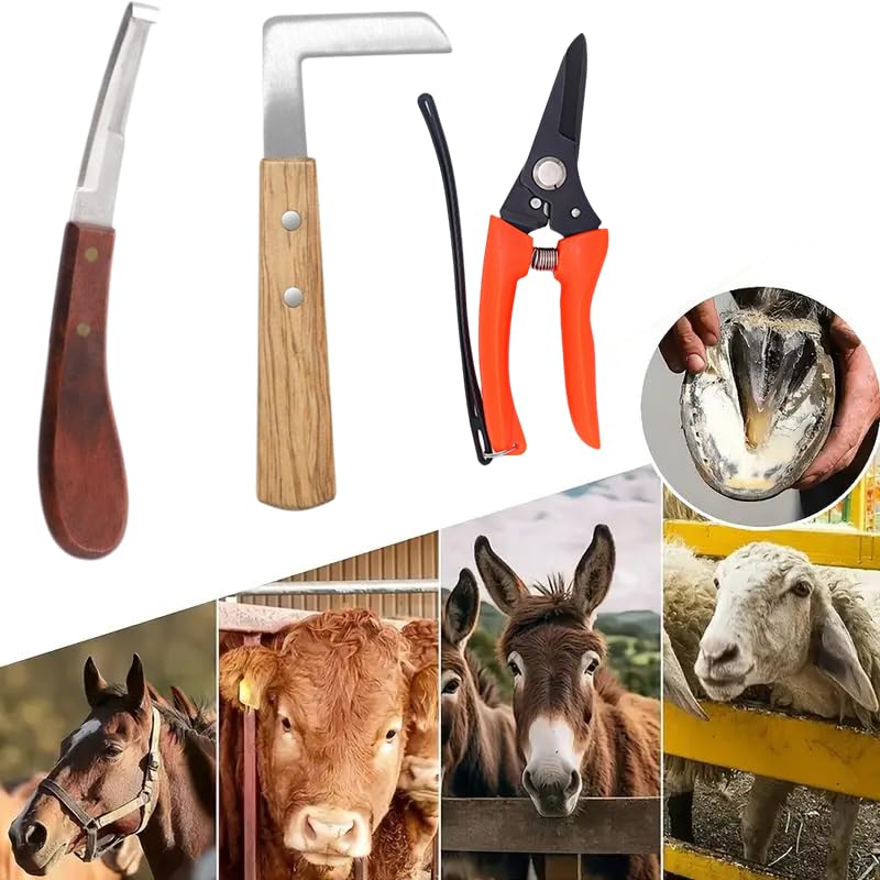 10 inch Farrier Tool Kits, 8 Piece, Horse Goat Hoof Trimmers | Carbon Steel Nippers Shears Nail Clipper, Mini Rasp Hoof File, Professional Farriers Hoof Nipper Cutter Handle Knife