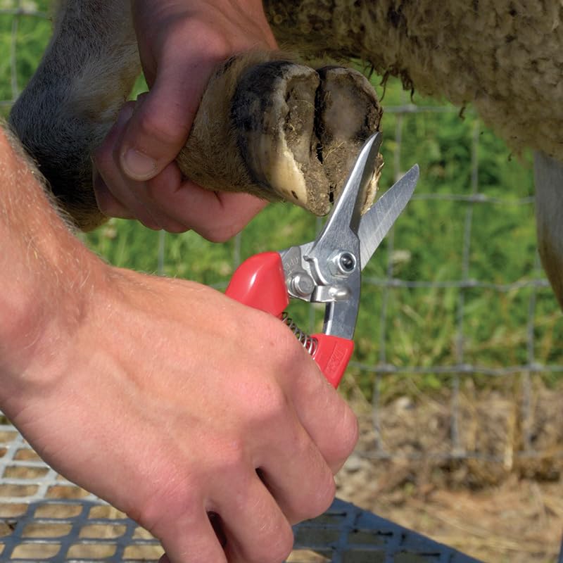 ARS 140DXR Smooth Blade Hoof Trimmer & Garden Pruning Shears | Gold standard for goat & sheep hoof trimming. Rounded tips safe for cleaning & probing. Japanese steel blades, 7.5" overall.