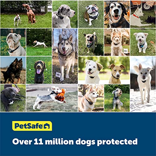 PetSafe Extra In-Ground Fence Boundary Wire, 20-Gauge Copper, 150 ft | Insulated Solid Core Copper Wire, Compatible with Pawz Away Outdoor Barrier and PetSafe In-Ground Fences - size: 150 feet, style: 20 Gauge