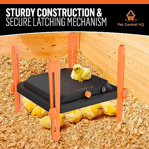 Pet & Livestock HQ Chicken Brooder Heater for Chicks - Chick Brooder Heat Plate - 12” x 12” Indoor Brooder Heating Kit with Adjustable Height and Temperature Display