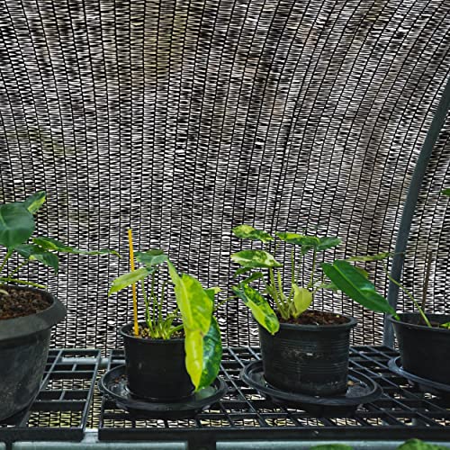 6 x 100 FT 40% Shade Cloth Roll Black | Black HDPE UV Resistant Breathable Eyelets Sun Protection for Greenhouse Garden Fence Pergola Patio Flower Plant Kennel - size: 6'x100ft - 40% - Black