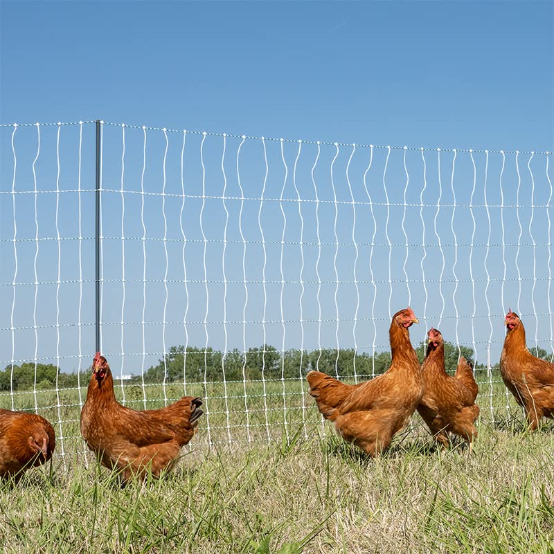 Premier 1 PoultryNet® PrimaPosts™ Fence – Chickens – 48"H x 100'L | Green/white. Rigid PrimaPosts™, extra strength. Single spike. For chickens, ducks & geese. Energizer sold separately. - color: Single Spike, Green/White
