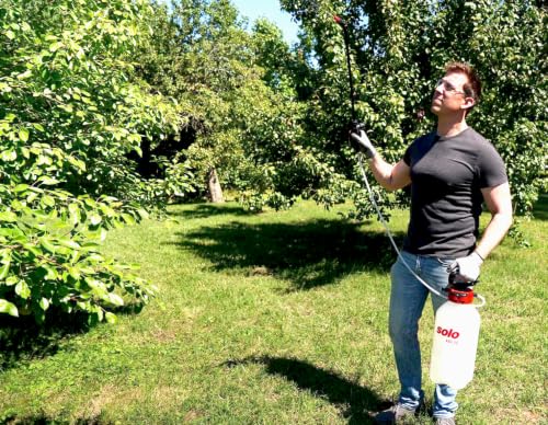 SOLO 430-2G 2-Gallon Handheld Sprayer with Viton® Seals in Key Locations