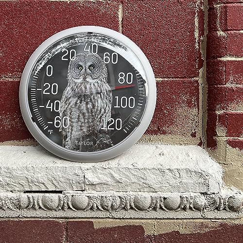 Taylor Nature Series Indoor Outdoor Owl Thermometer, Easy to Read Wall Decor for Patio, Pool, Yard, Garden or Garage, 13.25 Inch, Gray Bezel - style: Owl