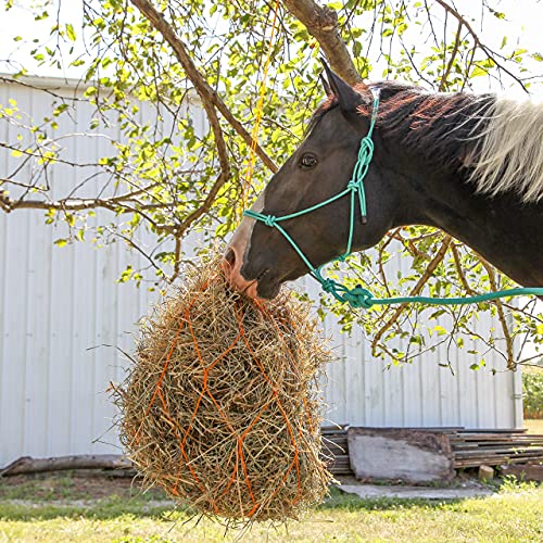 Majestic Ally 1/4" Rope 4 Knot Stiff Polyester Training Halter with 10’ Matching Lead Rope for Horses – Full (Turquoise, Full) - color: Turquoise, size: Full