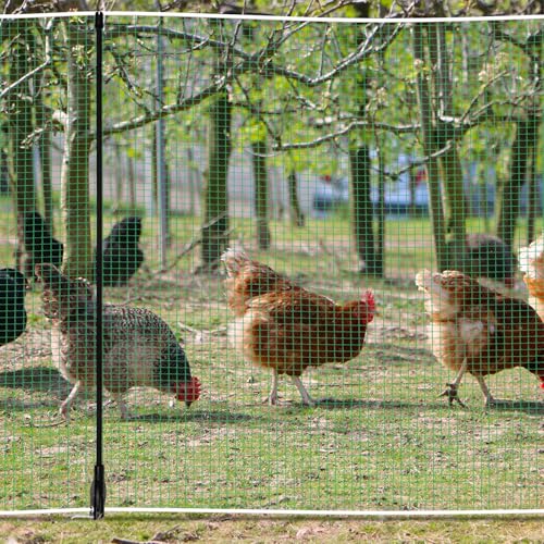 Temporary Fence with Posts 3' x 50' for Chickens, Turkeys Backyard | Boundary Chicken Fence with Double Spiked Fiberglass Posts & Windbreak Rope, Portable Non Electric Fence Netting - size: 3' x 50'