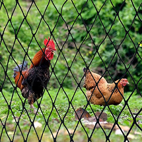 DQS Bird Netting 100’ x 100’with 1" Mesh, Poultry Netting for Chicken Coop | Garden Netting for Fruit Tree Against Aviary, Deer, Squirrel, Heavy Duty Nylon Hawk Netting for Chicken Run - size: 1", 100' x100'