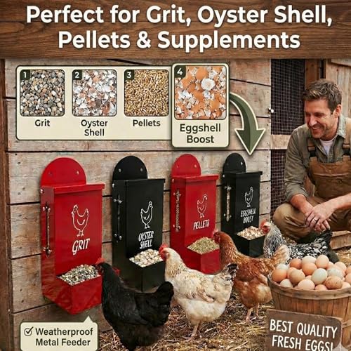 Premium Metal2 Packs Oyster Shell Feeder for Chicken with Lid Viewing Window Dual grit Feeder Grit Oyster rain Cover Duck Feeder Chicken Coop Accessories Improve Eggshell Quality and Hen Health